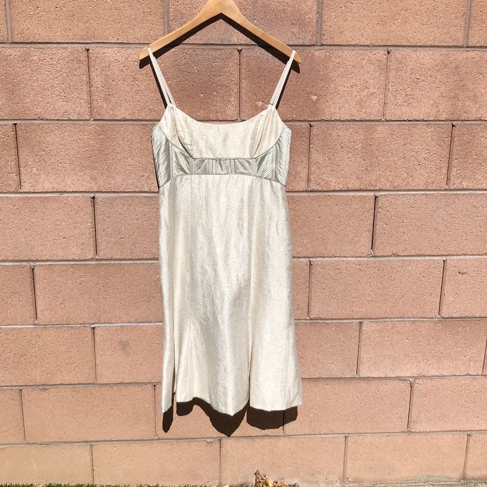Badgley Mischka Silk Dress
